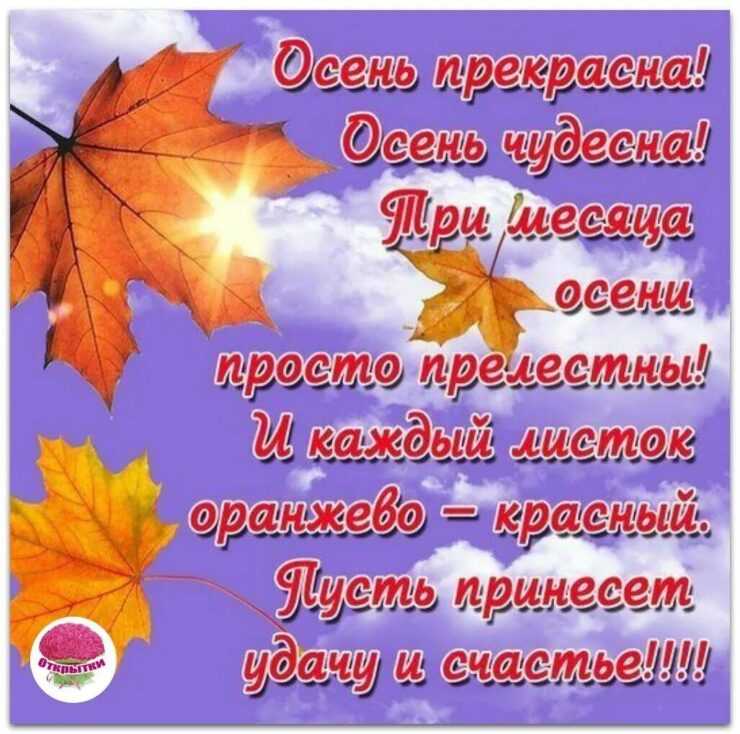 Самые разные статусы про сентябрь