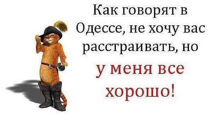 Смешные и остроумные ответы на вопрос «как дела?»