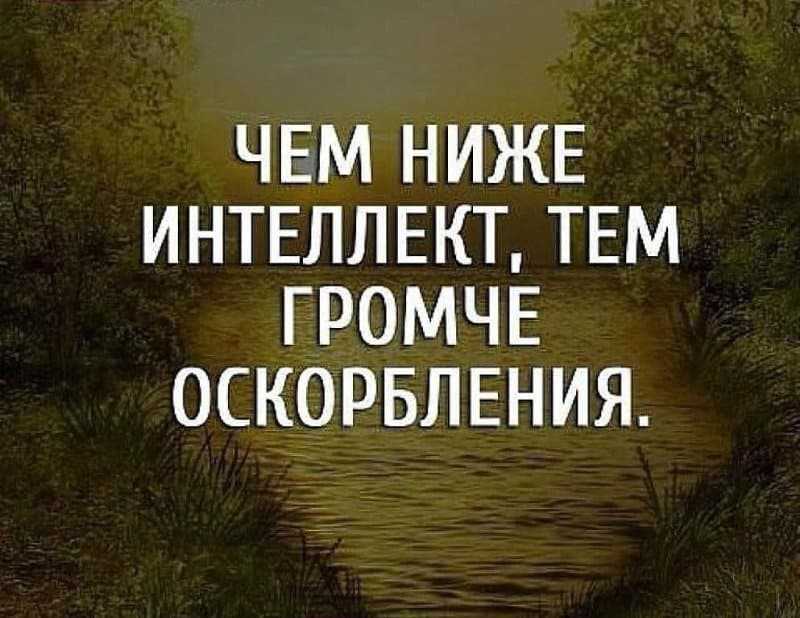 Как грамотно ответить на оскорбление — фразы и советы