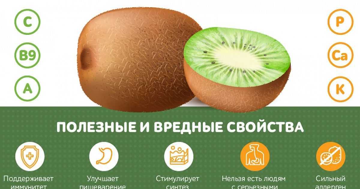 Сколько калорий в киви? польза и вред плода, полезные свойства