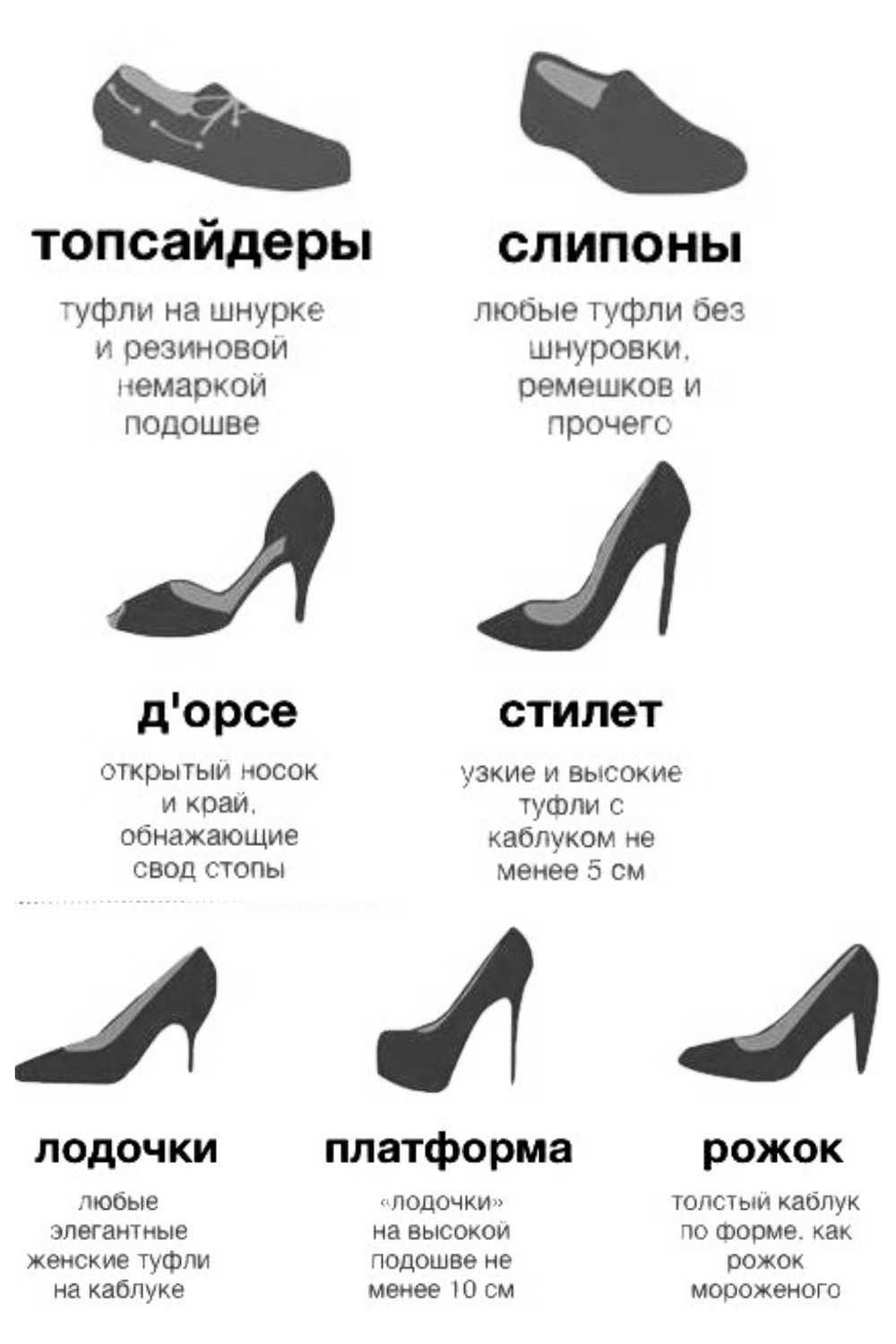 Виды женской обуви: названия, фото и описания