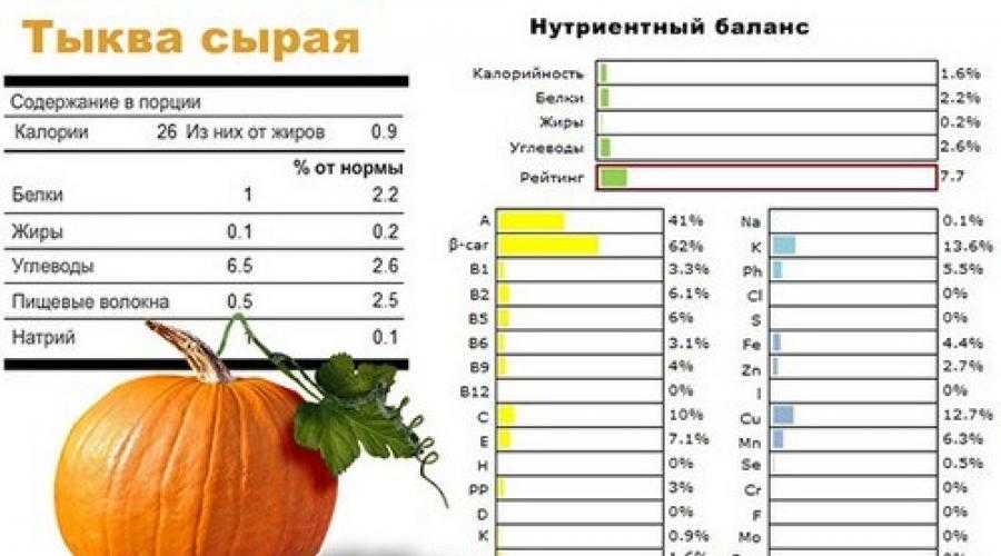 Тыква – польза и вред для организма, состав и калорийность
