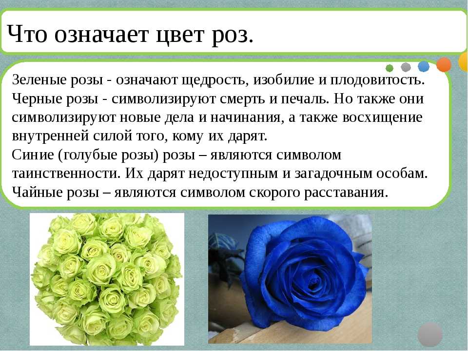 Как правильно выбрать букет: тонкости цветочного этикета - полезная информация и статьи о подарках и праздниках на card2you