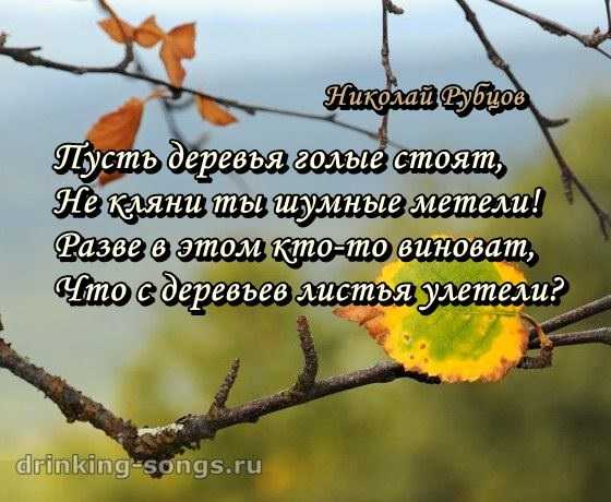Николай рубцов ~ улетели листья с тополей (песня) (+ анализ)