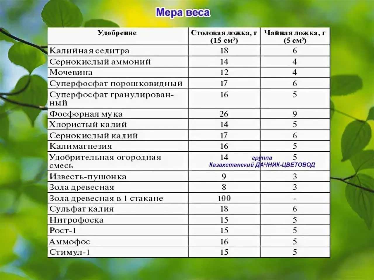 Сколько грамм и миллилитров сметаны в столовой и чайной ложке?