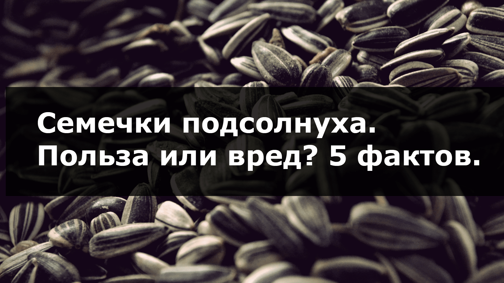 Сколько весит одна семечка подсолнуха узнайте вес семечки подсолнечника