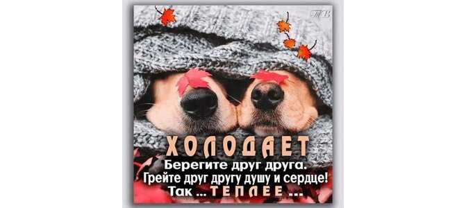 Грейте друг друга, люди