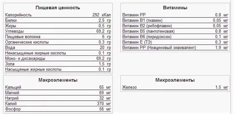 Финики. как растут, виды и сорта фиников