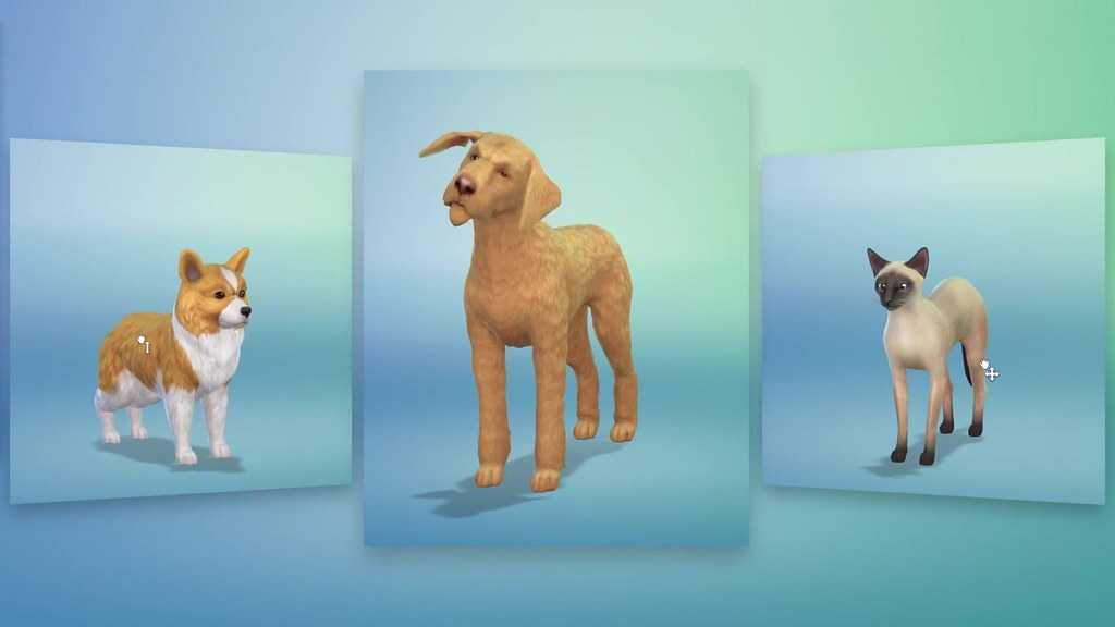 The sims вики