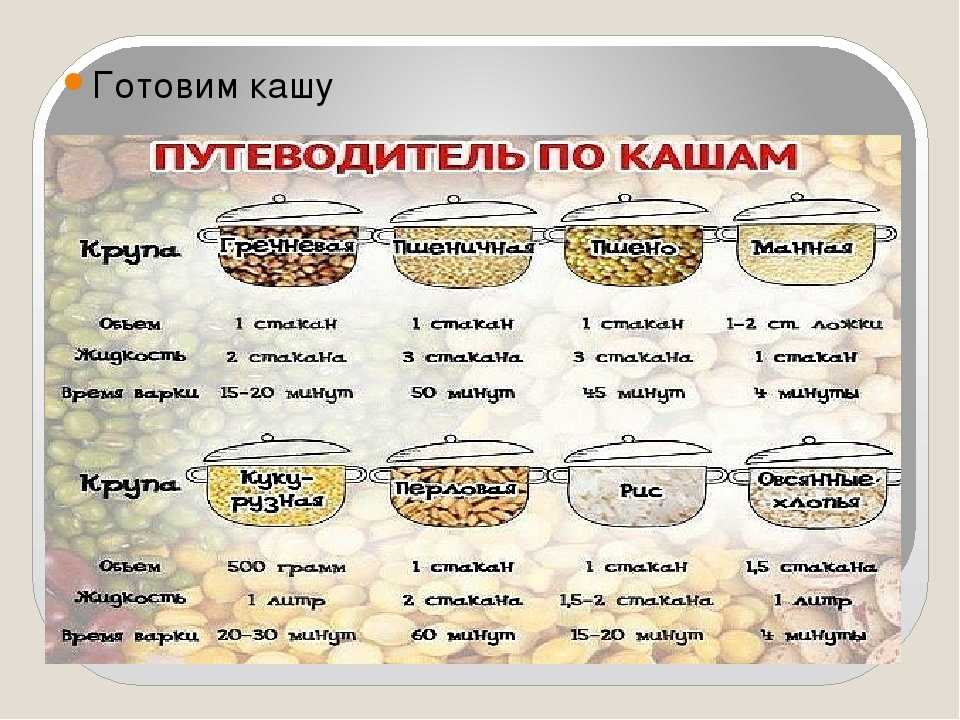 Как сварить кашу геркулесовую на 10 порций. каша геркулесовая на молоке – вкусное и полезное блюдо