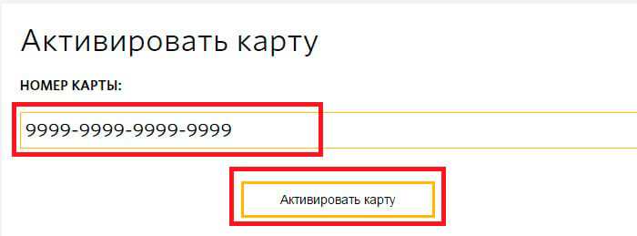 Живика бонусы на карте: как проверить и использовать