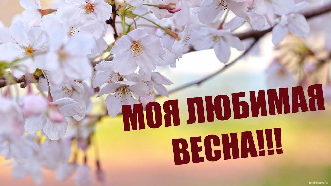 100 красивых коротких статусов со смыслом до слез