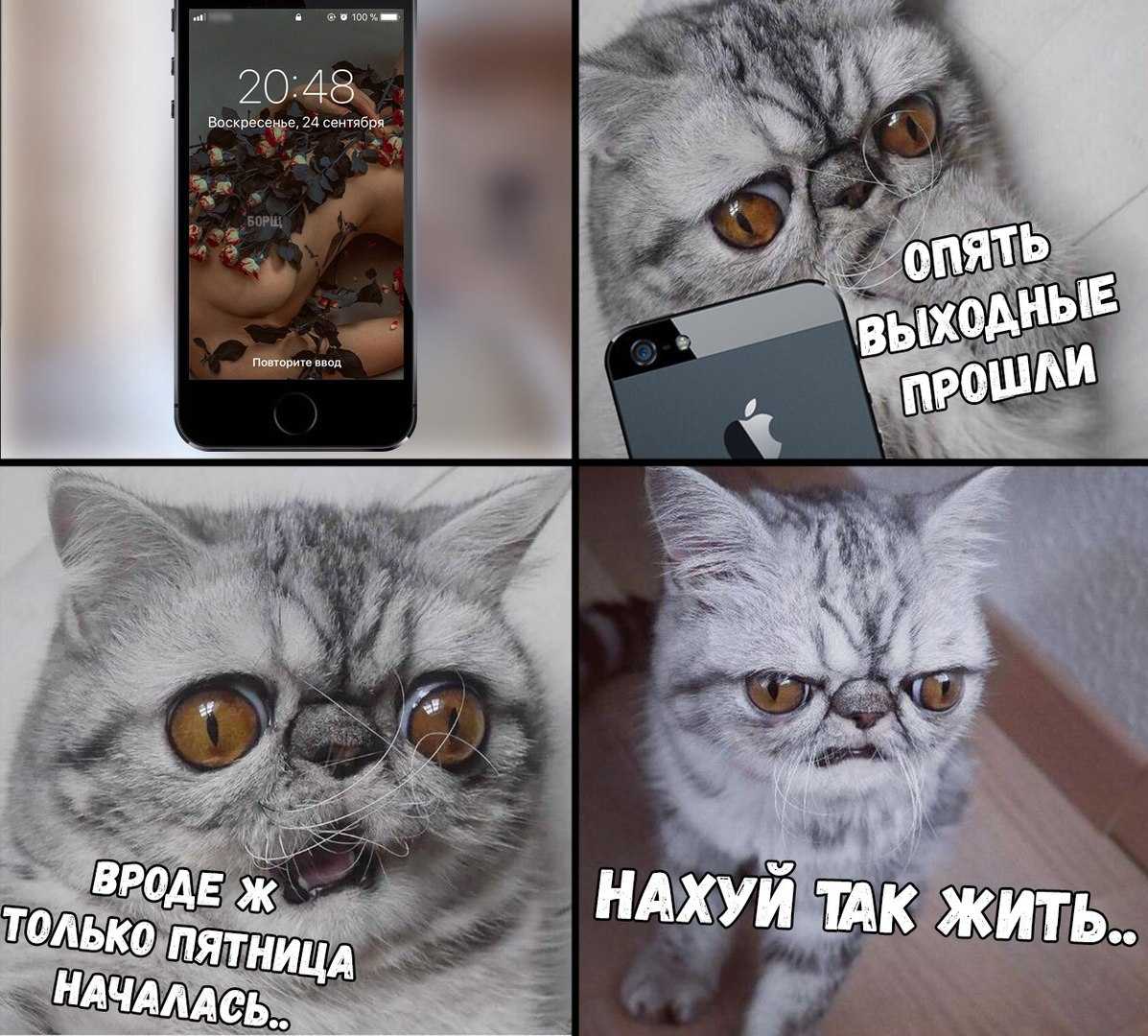 350+ вариантов что ответить на вопрос «как прошёл день?» - [обновлено 2024]