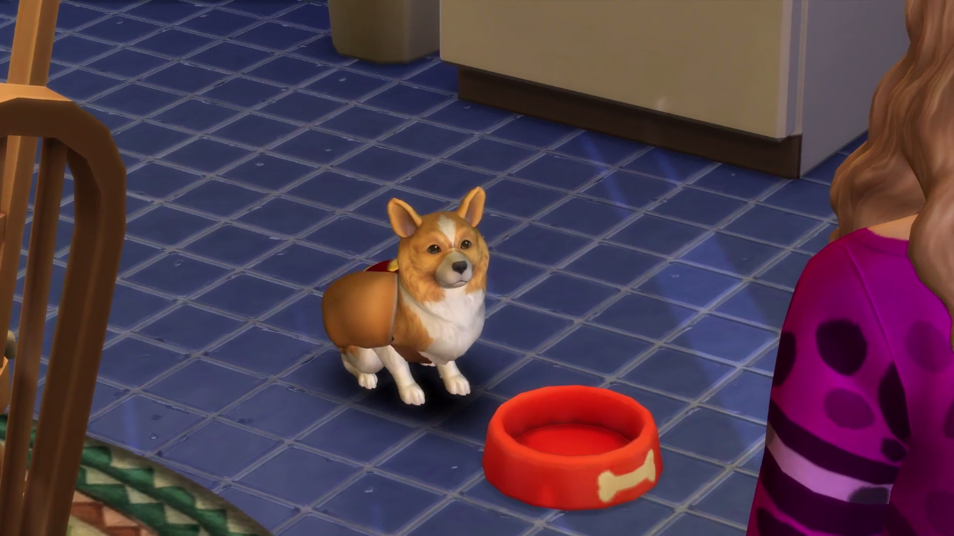 Как продать ветеринарную клинику в sims 4: подробный гайд