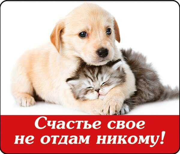 Serebro - я тебя не отдам
