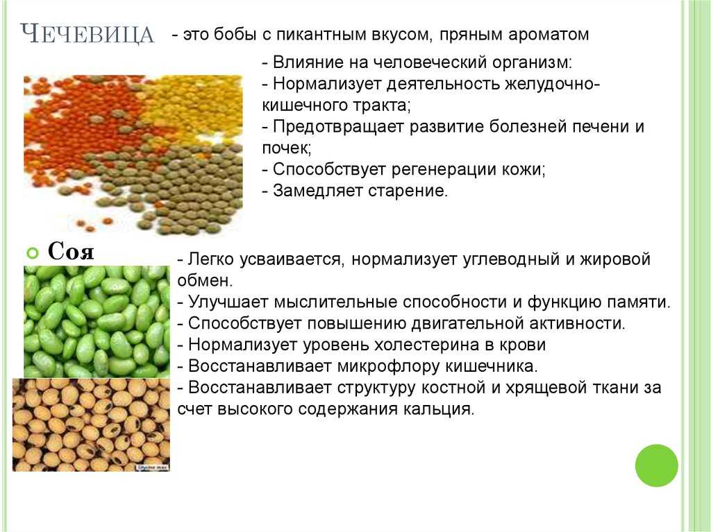 4 способа правильной варки чечевицы и 3 варианта вкусных блюд