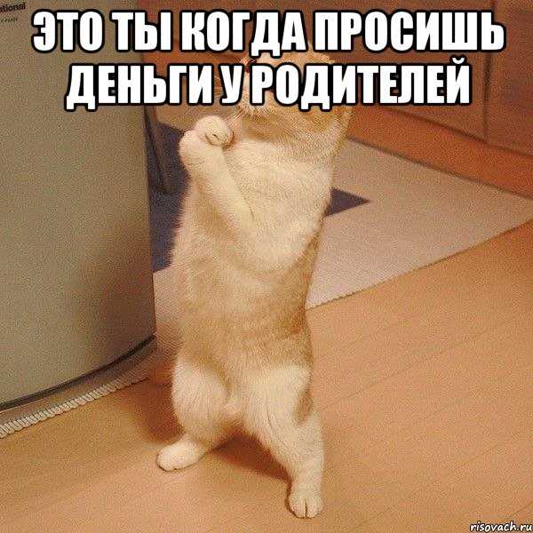 90 фраз, чтобы пожелать скорейшего выздоровления