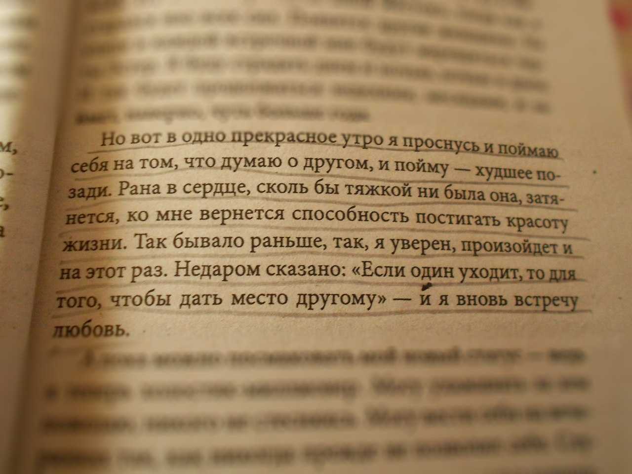 Красивые цитаты про любовь