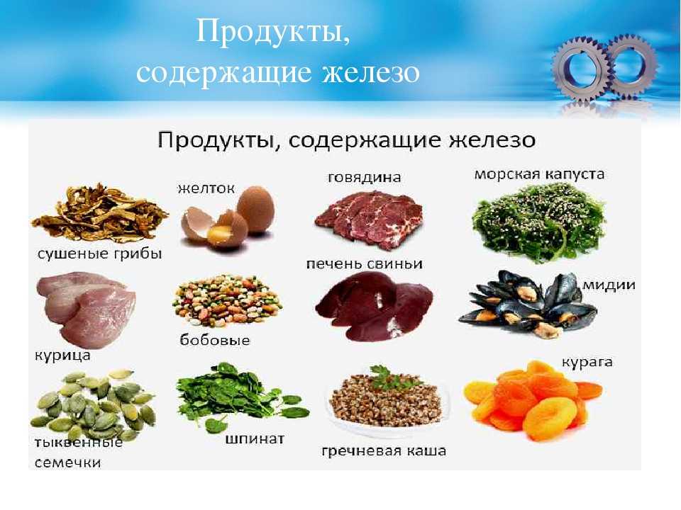 20 простых рецептов с куриными желудками