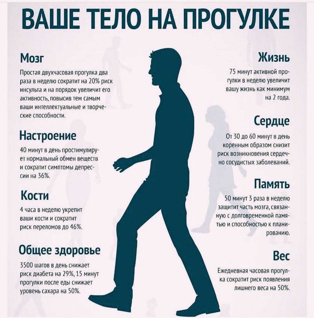 Говорят, для здоровья нужны 10 тысяч шагов в день. откуда эта цифра и в чем реальная польза?