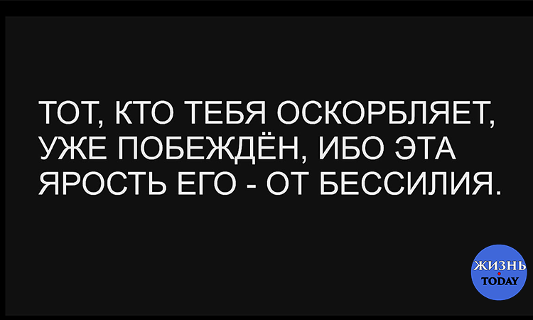 Как ответить на оскорбление остроумно и красиво: 60 крутых фраз + полезные рекомендации