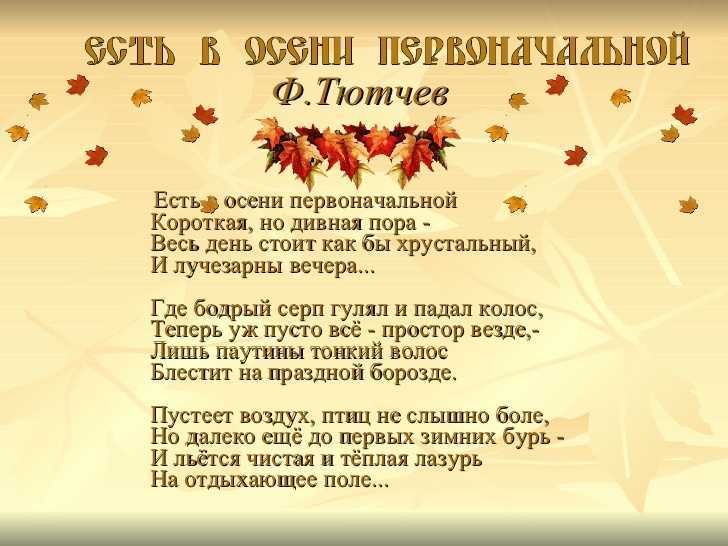 Любимая и незабываемая вероника тушнова. стихи о любви