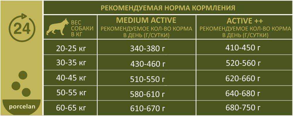 Сколько сухого корма нужно кошке в день: таблица, норма при смешанном питании