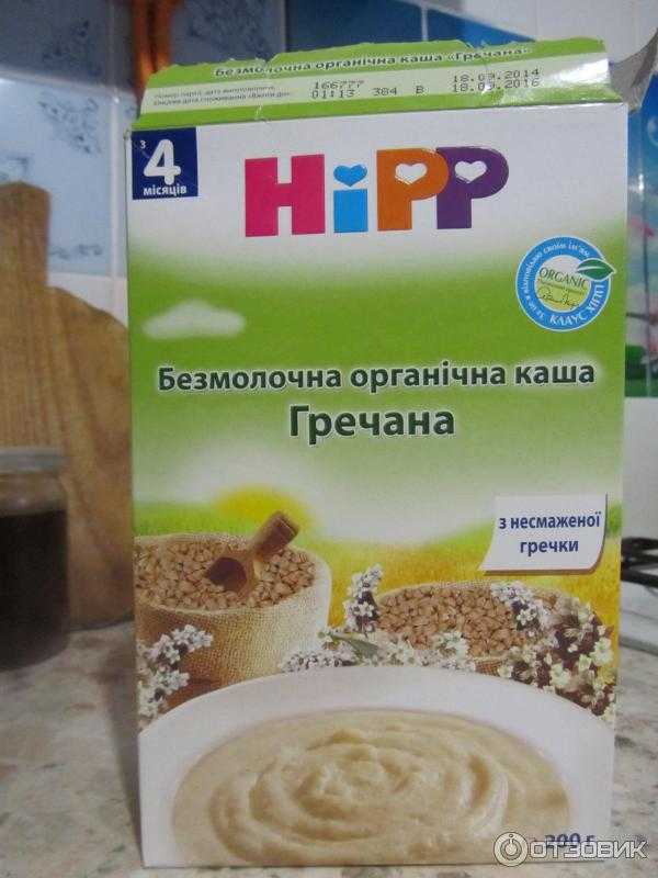 Гречневая каша на молоке – 5 рецептов приготовления