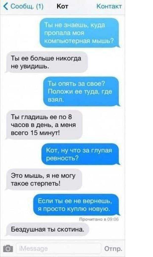 Что ответить на вопрос куда ты пропала. как отвечать на бестактные вопросы? ты куда пропал