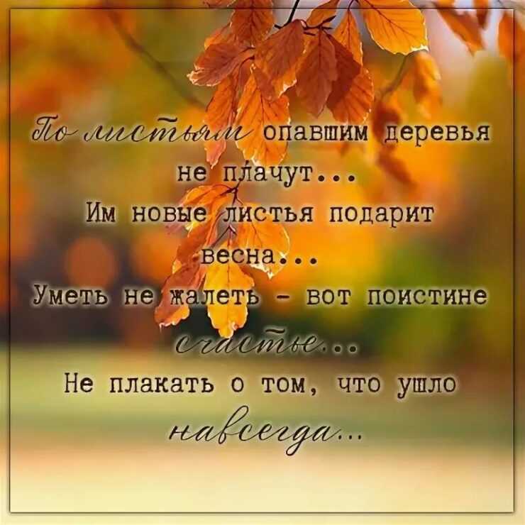 327 цитат про осень