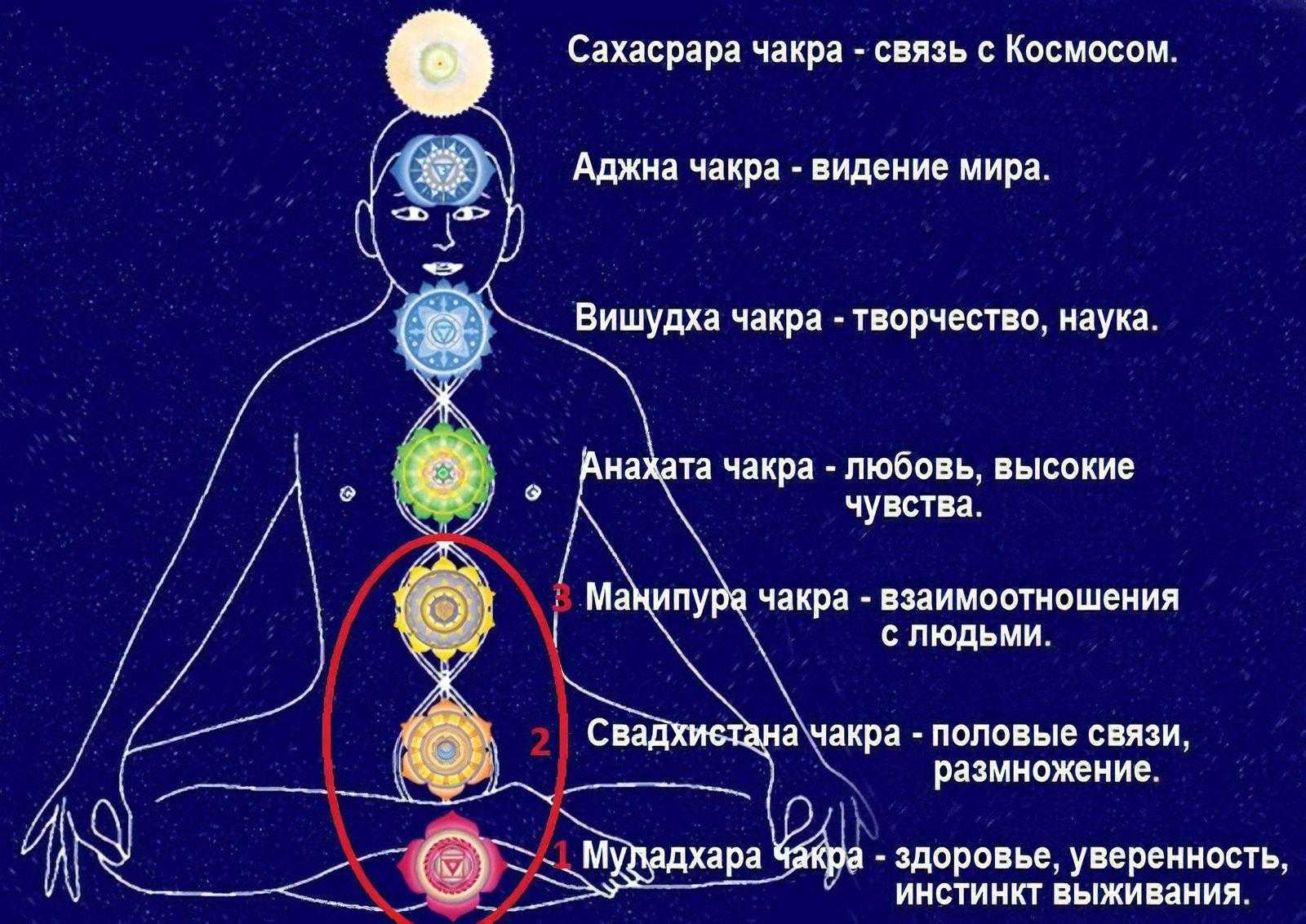 Работа с чакрами для начинающих — планёрка — продвижение экспертов