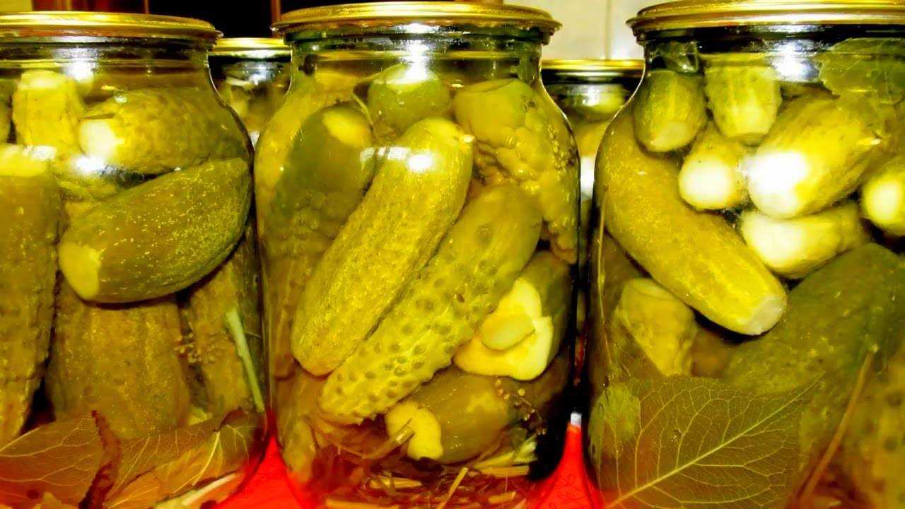 Рецепт засолки огурцов на зиму в банках: с уксусом, хрустящие, в 1 и 3 литровых емкостях, простой классический способ как солить огурчики, сколько надо