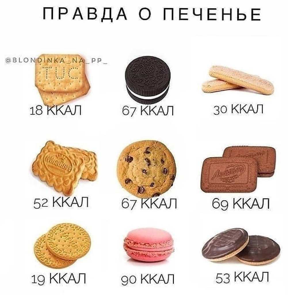 Овсяное печенье при похудении: можно ли есть на диете, полезные свойства, если кушать худеющим, возможный вред, калорийность, диетические рецепты