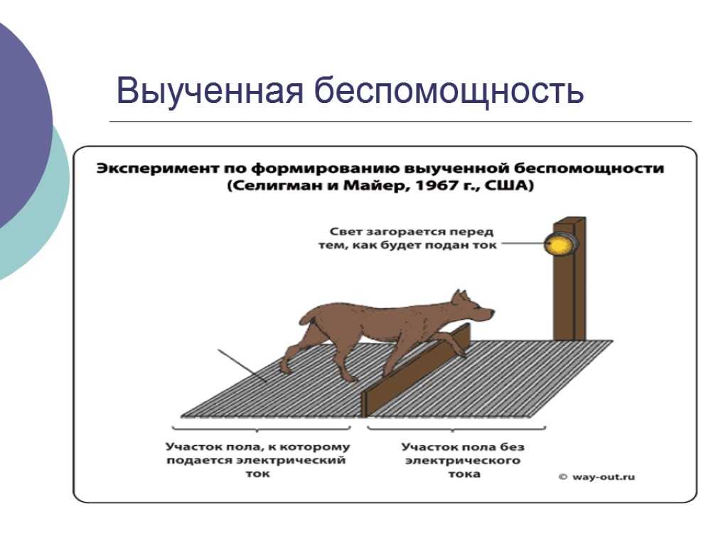 Тест на принятие себя | психолог александр федоров