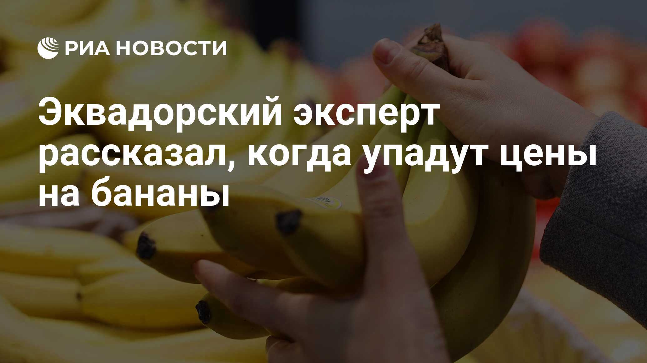 Откуда привозят бананы. как появились и на чем растут бананы, описание и сорта - мир фактов