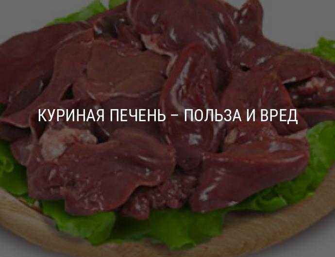 Печеночные оладьи из куриной печени – 7 пошаговых рецептов