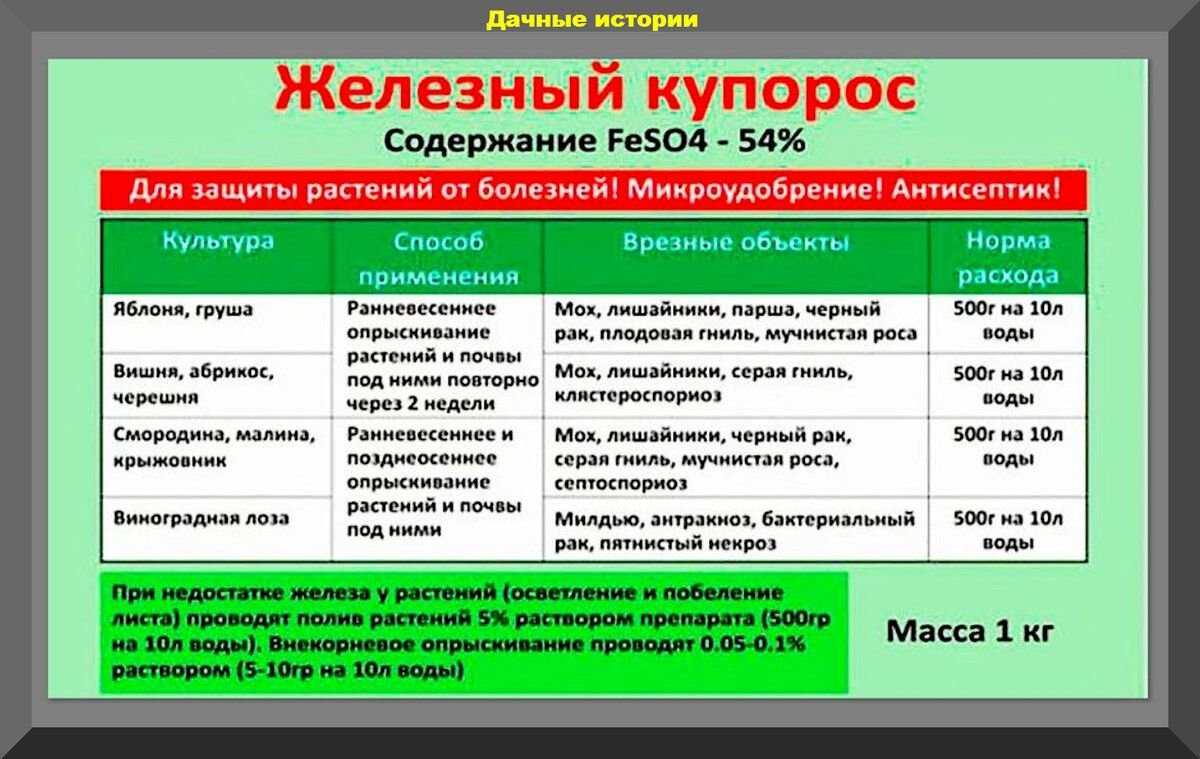 Разбираемся сколько весить горсть гроздь ведро винограда