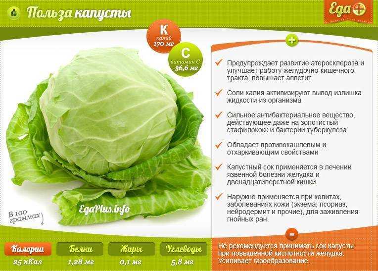 Тушеная капуста в духовке с курицей и грибами: рецепт пошагово