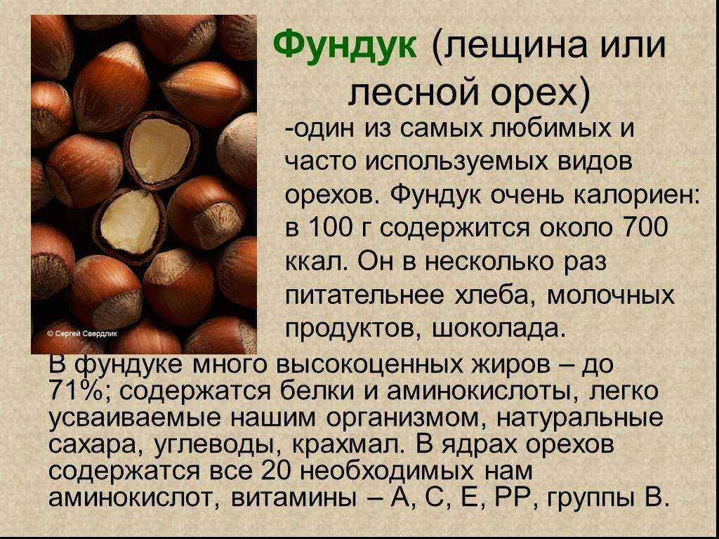 Калорийность печенья — сколько калорий в печенье к кофе?