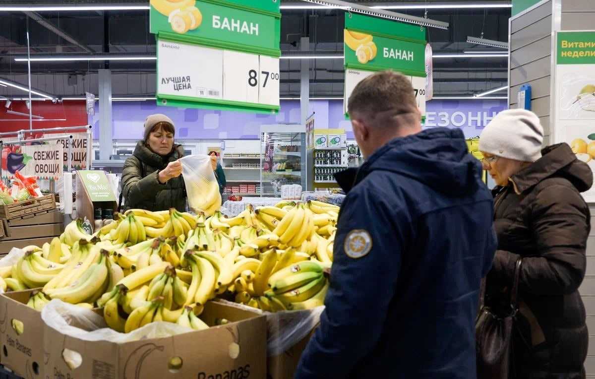Бананы: откуда и как доставляют, сорта и виды, чем полезны