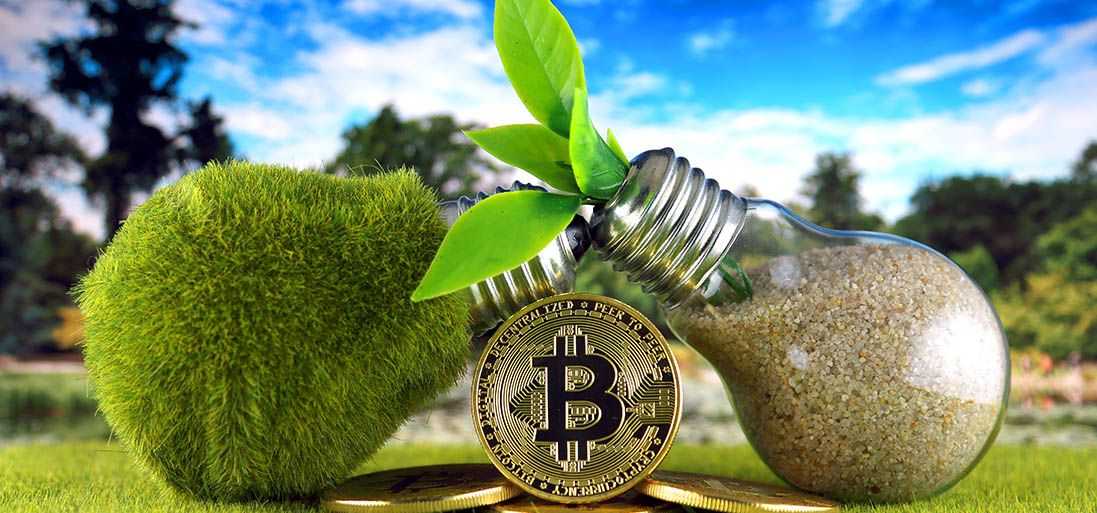 Beauty and the environment: eco-friendly, sustainable beauty solutions