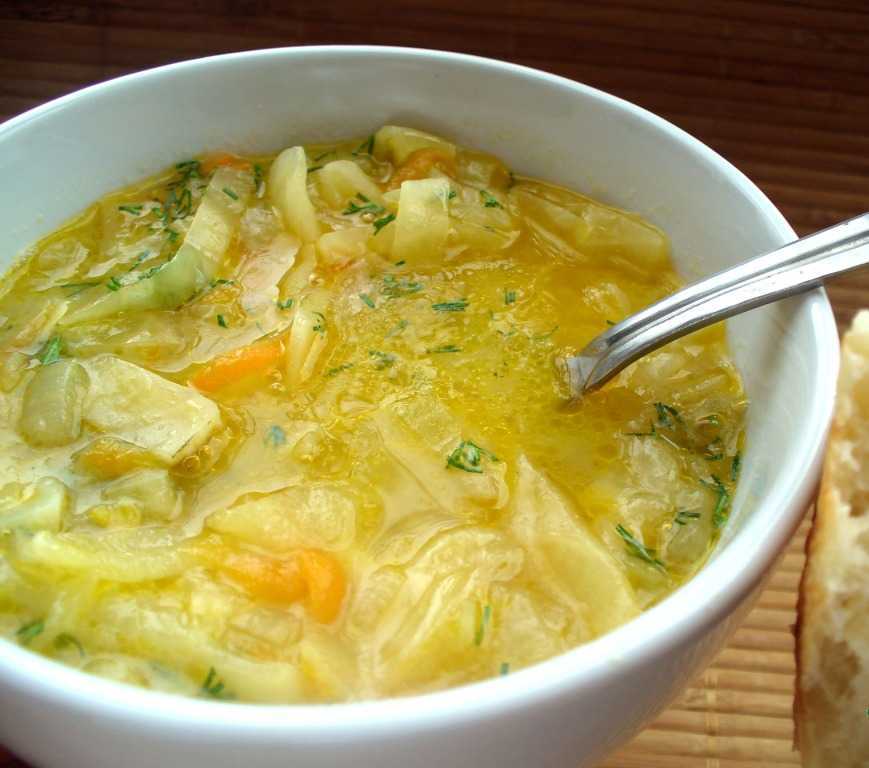 Щи из свежей капусты с курицей и помидорами: 11 фото в рецепте