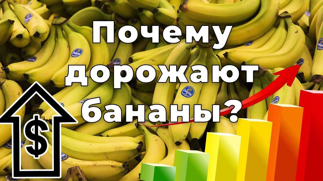 Россия вернула пяти эквадорским компаниям право поставлять бананы.