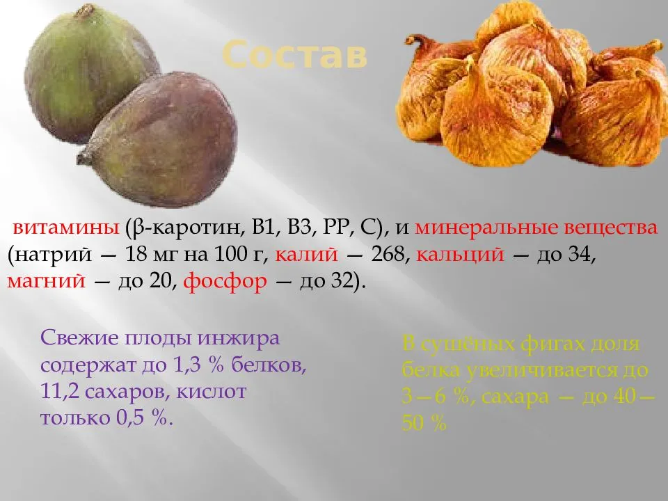 Инжир - описание, калорийность, норма в день, польза и вред