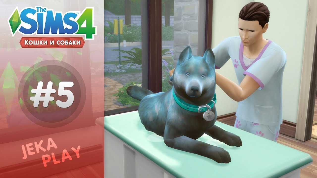Как приютить кошку в sims 4