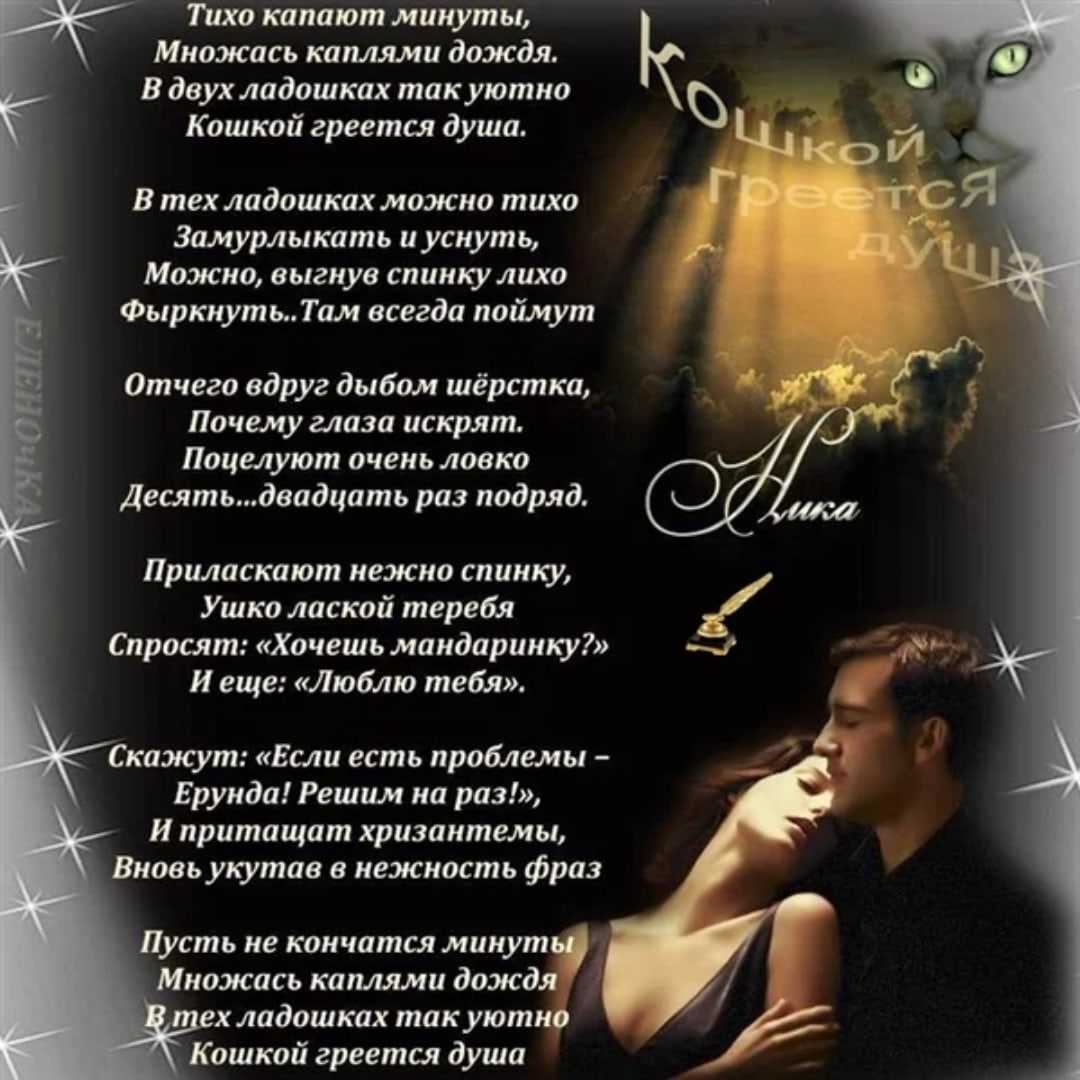 Нельзя сказать что они друзья Нельзя сказать что любовники У каждого есть заботы семья Поклонницы и поклонники Прочитайте стих о любви Родная душа