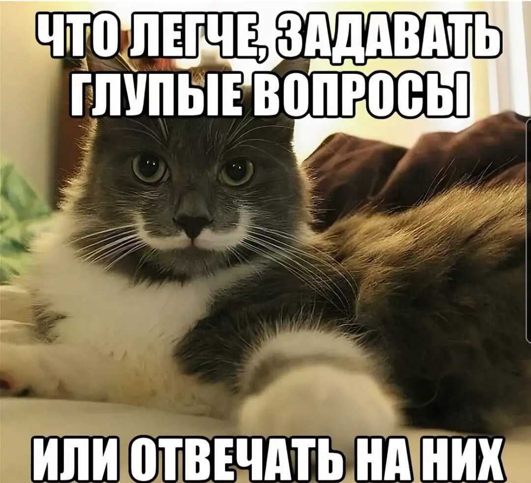 Как ответить на "ну вот" в рифму: проверенные приемы