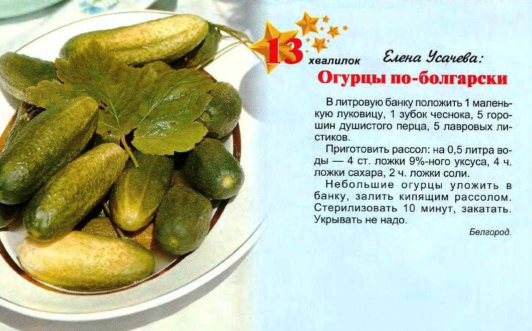 Квашеные огурцы в банках на зиму: как бочковые, холодным способом, 11 простых рецептов