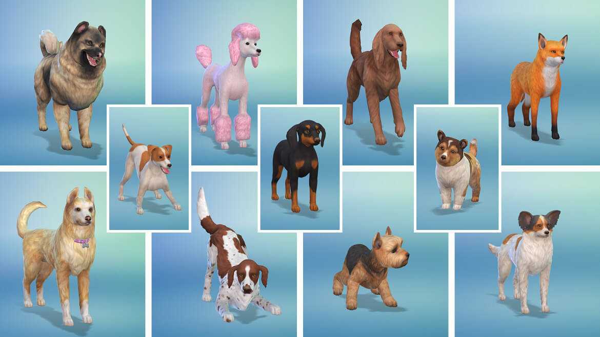 Редактор питомцев в the sims 4 – создай четвероногого друга своей мечты