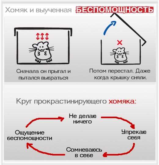 3 средства от беспомощности